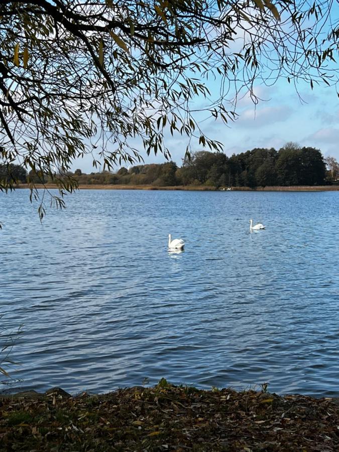 Sweet App Am See Ponitz am See Eksteriør bilde
